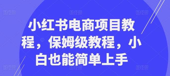小红书电商项目教程，保姆级教程，小白也能简单上手-立业有术