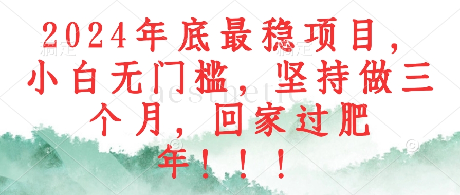 （12970期）2024年底最稳项目，小白无门槛，坚持做三个月，回家过肥年！！！-立业有术