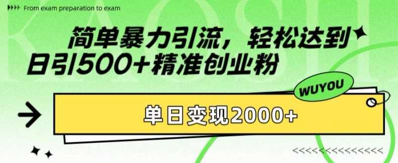 简单暴力引流，轻松达到日引500+精准创业粉，单日变现2k【揭秘】-立业有术