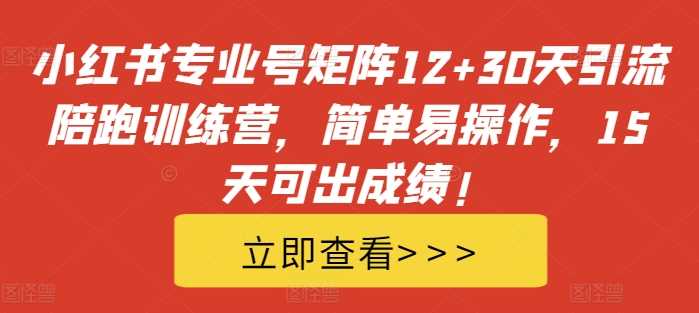 小红书专业号矩阵12+30天引流陪跑训练营，简单易操作，15天可出成绩!-立业有术