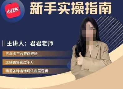 君君-小红书电商从入门到精通，新手实操指南-立业有术