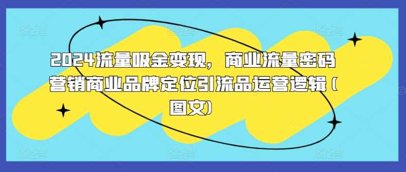 2024流量吸金变现，商业流量密码营销商业品牌定位引流品运营逻辑(图文)-立业有术