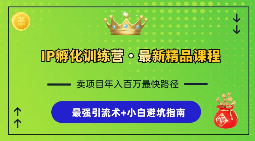 （13055期）IP孵化训练营，知识付费全流程+最强引流术+小白避坑指南-立业有术