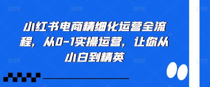 小红书电商精细化运营全流程，从0-1实操运营，让你从小白到精英-立业有术