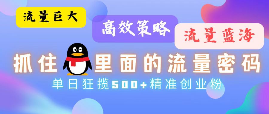 （13068期）流量蓝海，抓住QQ里面的流量密码！高效策略，单日狂揽500+精准创业粉-立业有术