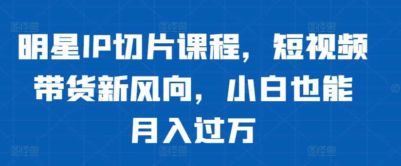 明星IP切片课程，短视频带货新风向，小白也能月入过万-立业有术