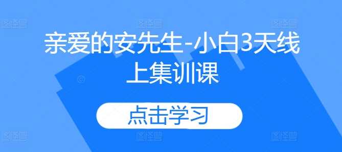 亲爱的安先生-小白3天线上集训课-立业有术