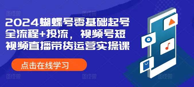 2024蝴蝶号零基础起号全流程+投流，视频号短视频直播带货运营实操课-立业有术