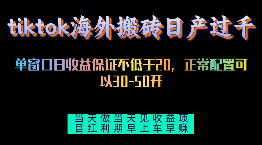 （13079期）tiktok海外搬砖项目单机日产过千当天做当天见收益-立业有术