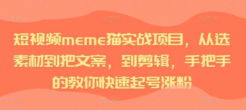 短视频meme猫实战项目，从选素材到把文案，到剪辑，手把手的教你快速起号涨粉-立业有术