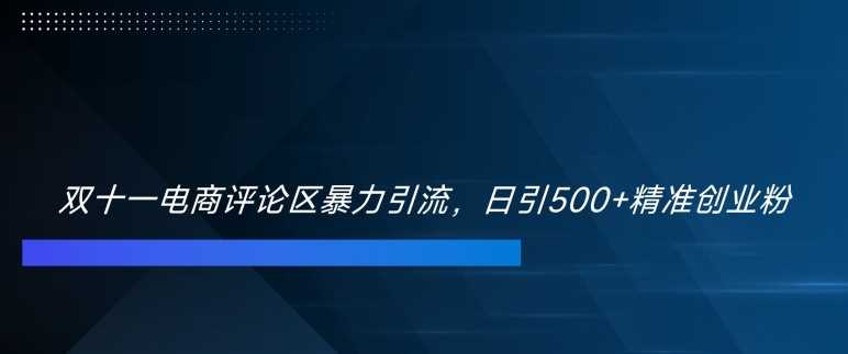 双十一电商评论区暴力引流，日引500+精准创业粉【揭秘】-立业有术