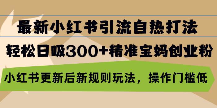 （13145期）最新小红书引流自热打法，轻松日吸300+精准宝妈创业粉，小红书更新后新…-立业有术