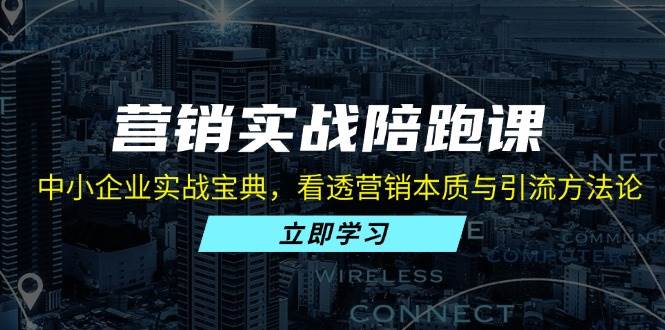 （13146期）营销实战陪跑课：中小企业实战宝典，看透营销本质与引流方法论-立业有术