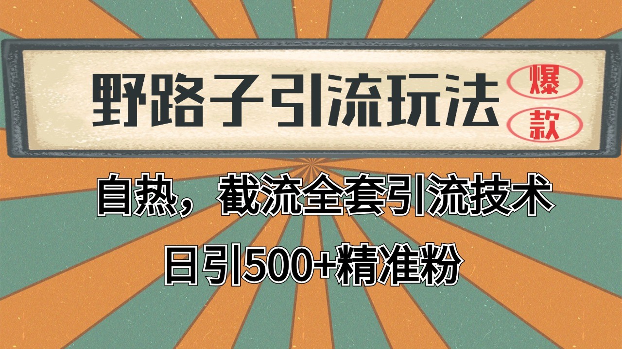 抖音小红书视频号全平台引流打法，全自动引流日引2000+精准客户-立业有术