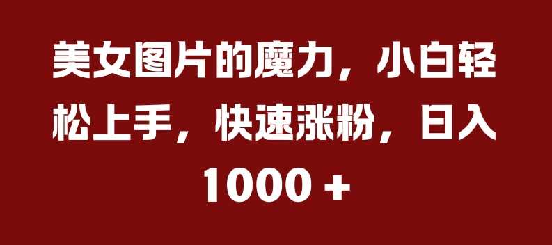 美女图片的魔力，小白轻松上手，快速涨粉，日入几张【揭秘】-立业有术