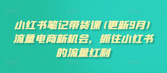 小红书笔记带货课(更新10月)流量电商新机会，抓住小红书的流量红利-立业有术