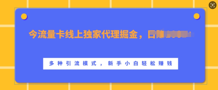 流量卡线上独家代理掘金，日入1k+ ，多种引流模式，新手小白轻松上手【揭秘】-立业有术