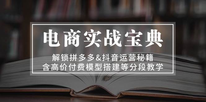 （13195期）电商实战宝典 解锁拼多多&抖音运营秘籍 含高价付费模型搭建等分段教学-立业有术