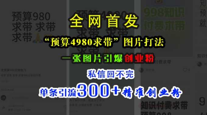 小红书“预算4980带我飞”图片打法，一张图片引爆创业粉，私信回不完，单条引流300+精准创业粉-立业有术