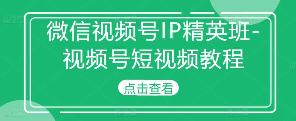 微信视频号IP精英班-视频号短视频教程-立业有术