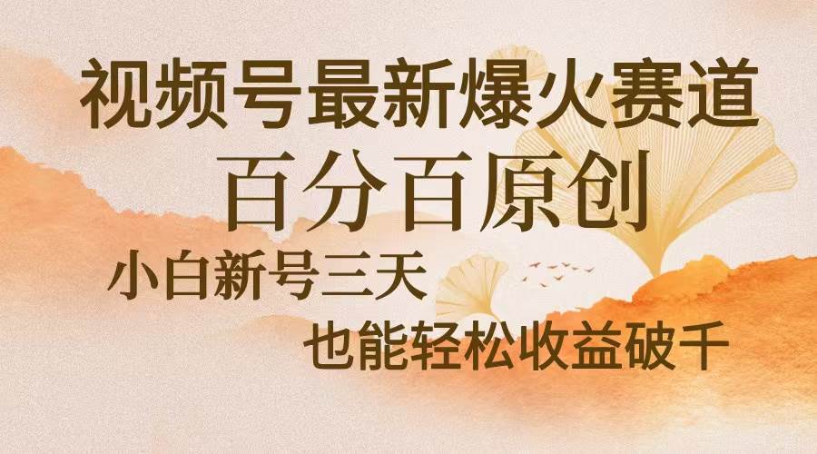 （13225期）视频号最新爆火赛道，中老年粉深信不疑，百分百原创，新号三天收益轻松…-立业有术