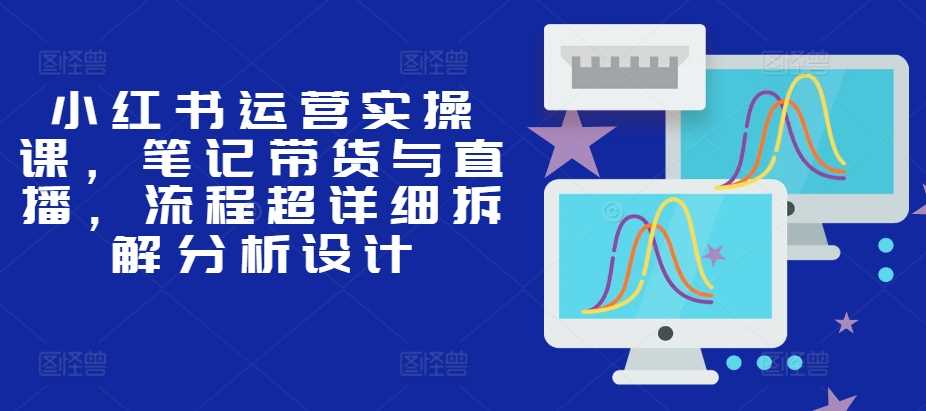 小红书运营实操课，笔记带货与直播，流程超详细拆解分析设计-立业有术