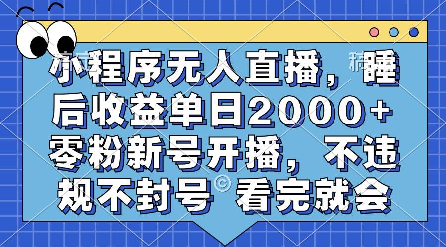（13251期）小程序无人直播，睡后收益单日2000+ 零粉新号开播，不违规不封号 看完就会-立业有术