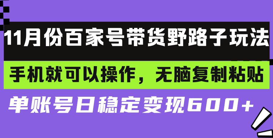 （13281期）百家号带货野路子玩法 手机就可以操作，无脑复制粘贴 单账号日稳定变现…-立业有术