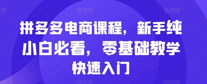 拼多多电商课程，新手纯小白必看，零基础教学快速入门-立业有术
