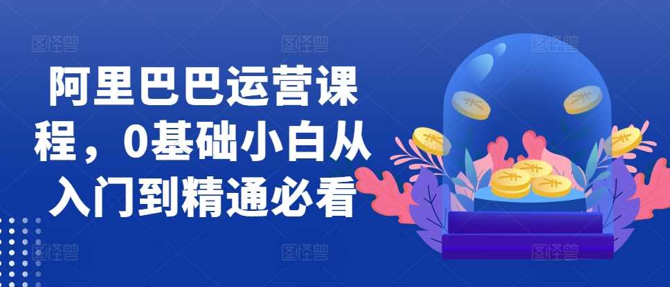 阿里巴巴运营课程，0基础小白从入门到精通必看-立业有术