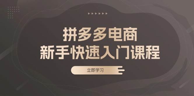 （13289期）拼多多电商新手快速入门课程：涵盖基础、实战与选款，助力小白轻松上手-立业有术