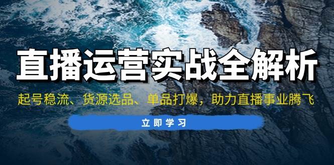 （13294期）直播运营实战全解析：起号稳流、货源选品、单品打爆，助力直播事业腾飞-立业有术