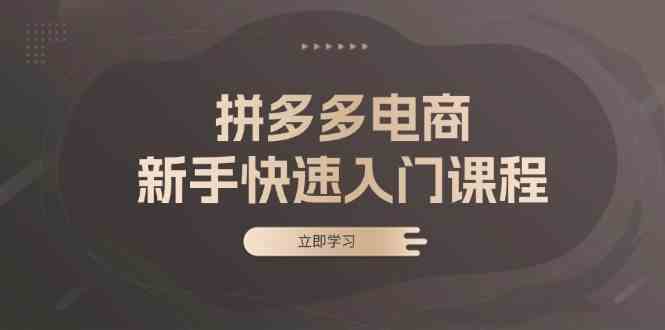 拼多多电商新手快速入门课程：涵盖基础、实战与选款，助力小白轻松上手-立业有术