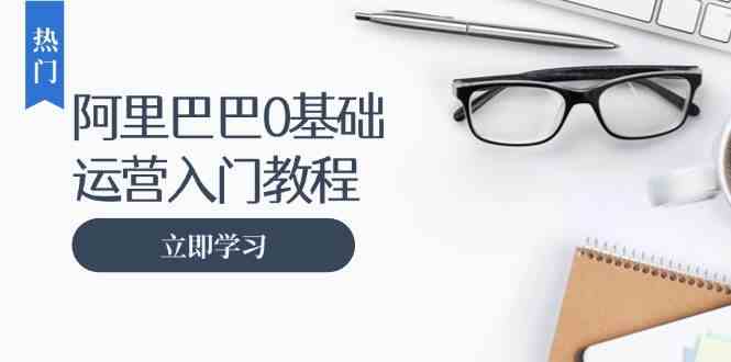 阿里巴巴运营零基础入门教程：涵盖开店、运营、推广，快速成为电商高手-立业有术