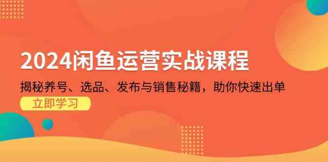 2024闲鱼运营实战课程：揭秘养号、选品、发布与销售秘籍，助你快速出单-立业有术