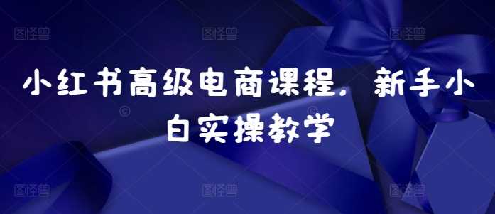 小红书高级电商课程，新手小白实操教学-立业有术