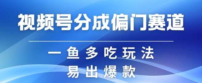 视频号创作者分成计划偏门类目，容易爆流，实拍内容简单易做【揭秘】-立业有术