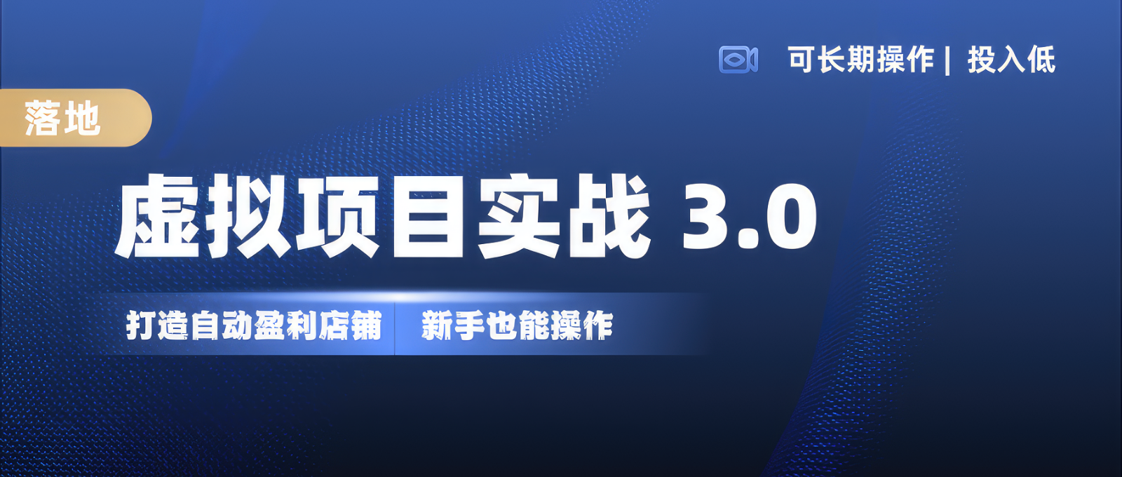 虚拟项目实操落地 3.0,新手轻松上手，单品月入1W+-立业有术