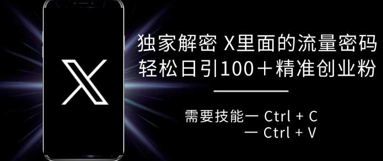 独家解密 X 里面的流量密码，复制粘贴轻松日引100+-立业有术