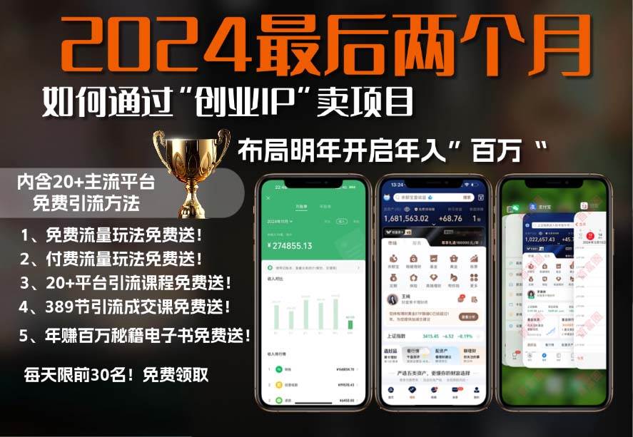 （13322期）2024最后两个月如何通过”创业IP“卖项目年入”百万“,创业IP+最强引流…-立业有术