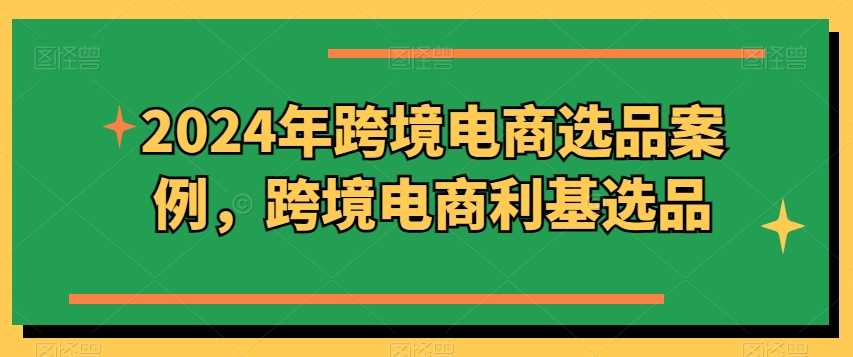 2024年跨境电商选品案例，跨境电商利基选品（更新11月）-立业有术