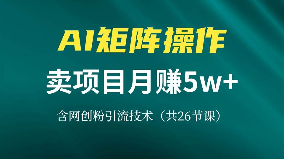 （13335期）网创IP打造课，借助AI卖项目月赚5万+，含引流技术（共26节课）-立业有术