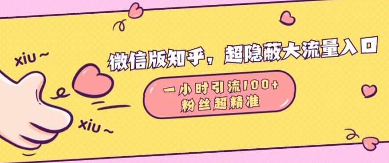 微信版知乎，超隐蔽流量入口1小时引流100人，粉丝质量超高【揭秘】-立业有术