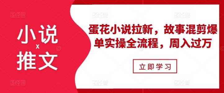 小说推文之蛋花小说拉新，故事混剪爆单实操全流程，周入过万-立业有术