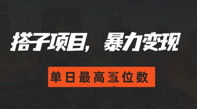 2024搭子玩法，0门槛，暴力变现，单日最高破四位数【揭秘】-立业有术