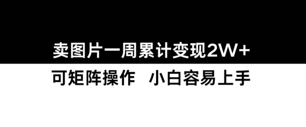 小红书【卖图片】一周累计变现2W+小白易上手-立业有术