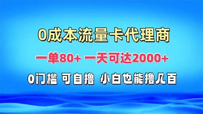 （13391期）免费流量卡代理一单80+ 一天可达2000+-立业有术