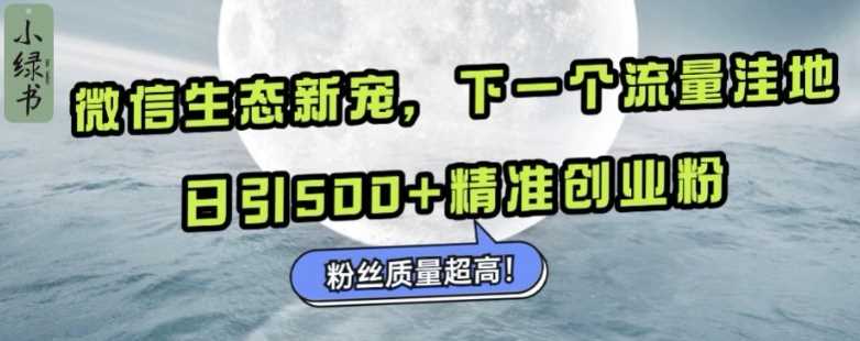 微信生态新宠小绿书：下一个流量洼地，日引500+精准创业粉，粉丝质量超高-立业有术