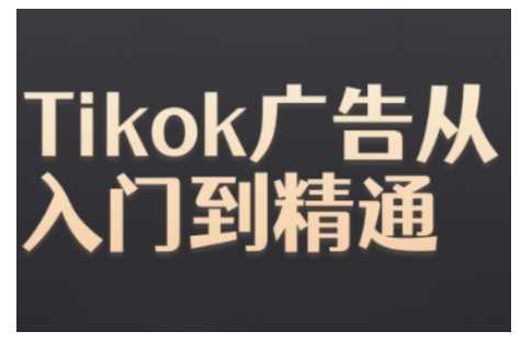 Tiktok Ads实操教程，Tiktok广告从入门到精通-立业有术