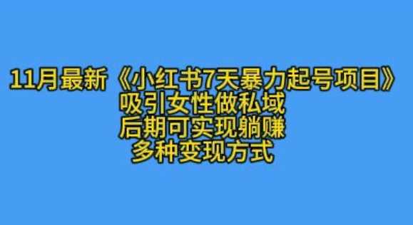 K总部落11月最新小红书7天暴力起号项目，吸引女性做私域【揭秘】-立业有术